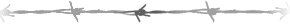 fil de fer barbel�